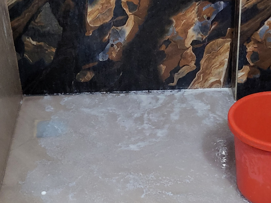 Treebo Hotel Rk Inn, Railway Station主图