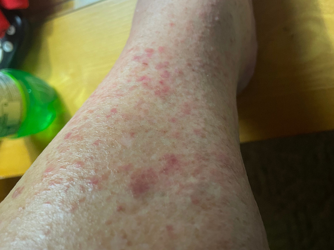 Hampton Inn Poplar Bluff主图