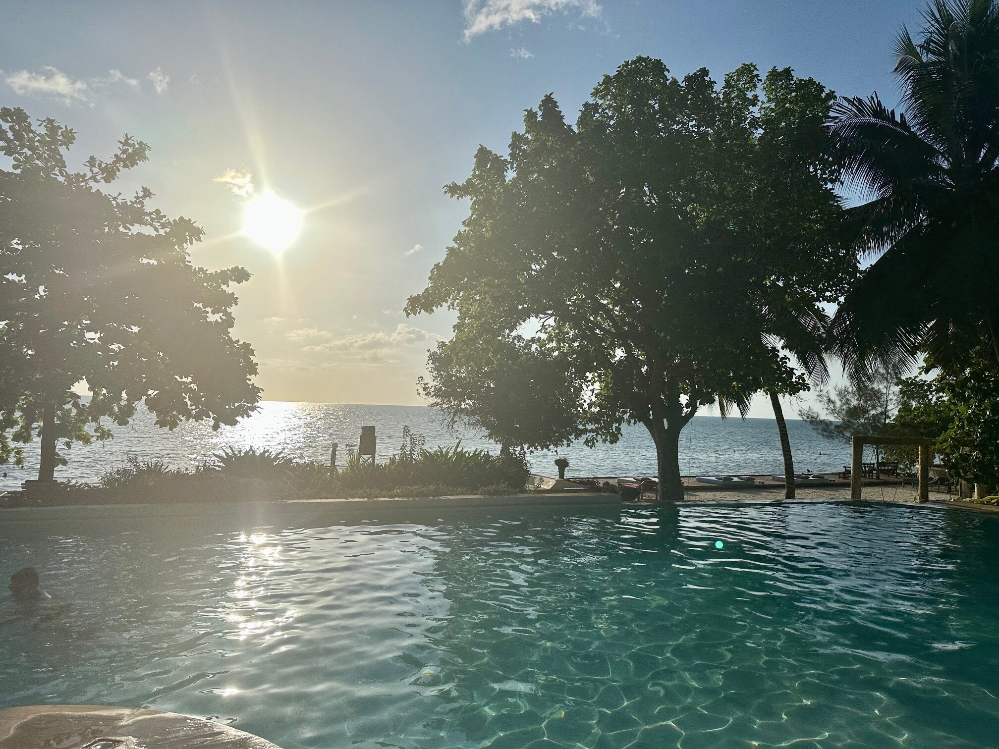 Mangrove Lodge-泳池