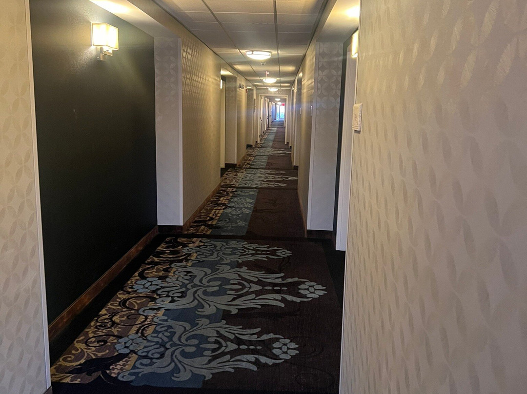 维斯坦布里希尔顿花园酒店主图