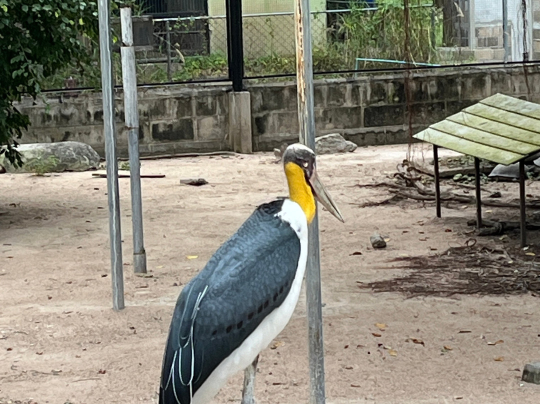 Huai Sai Wildlife Breeding Center景点图片