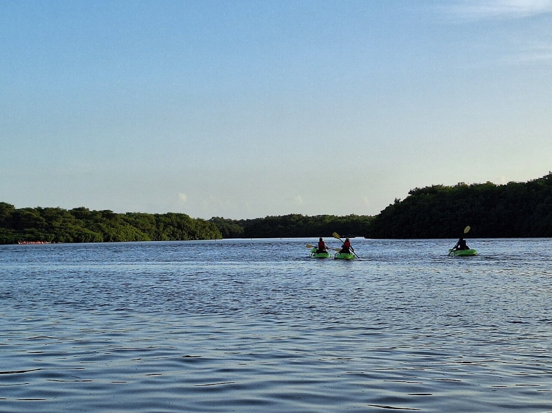 Nanan's Caroni Bird Sanctuary Tours-Caroni必去景点