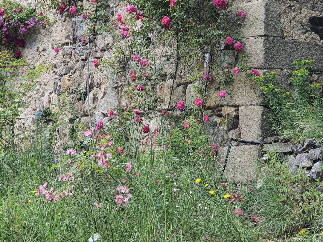 Roseraie De Berty Tauriers-Tauriers必去景点
