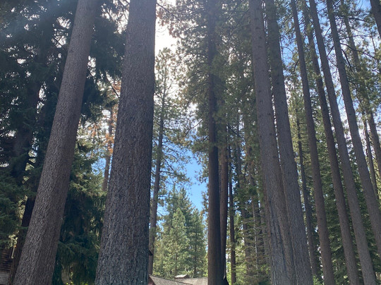 Tallac Historic Site-南太浩湖必去景点