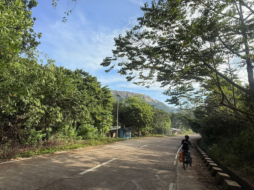 Zero Ebike Tours And Rentals-科隆必去景点