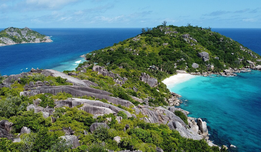 Château De Feuilles主图