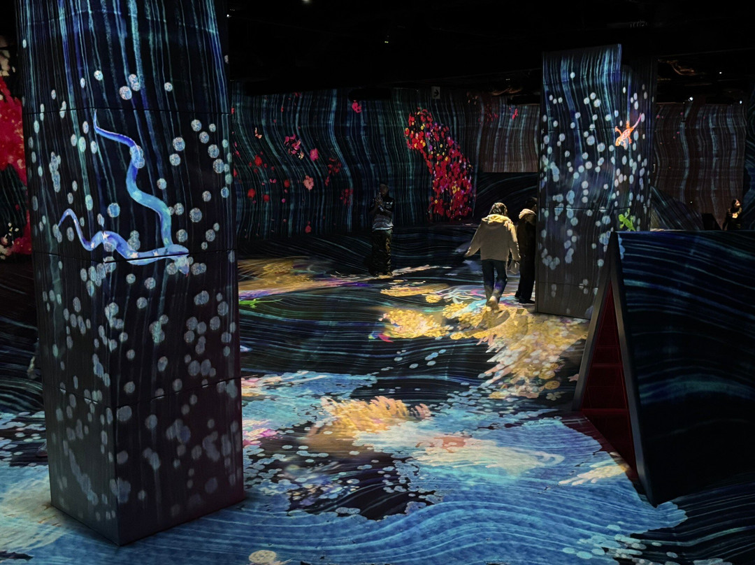 teamLab Forest景点图片