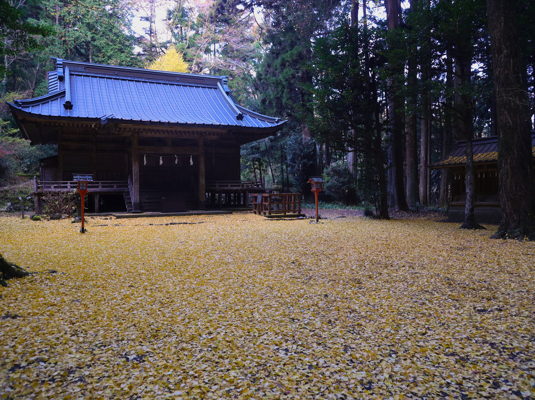 Ninooka Shrine景点图片
