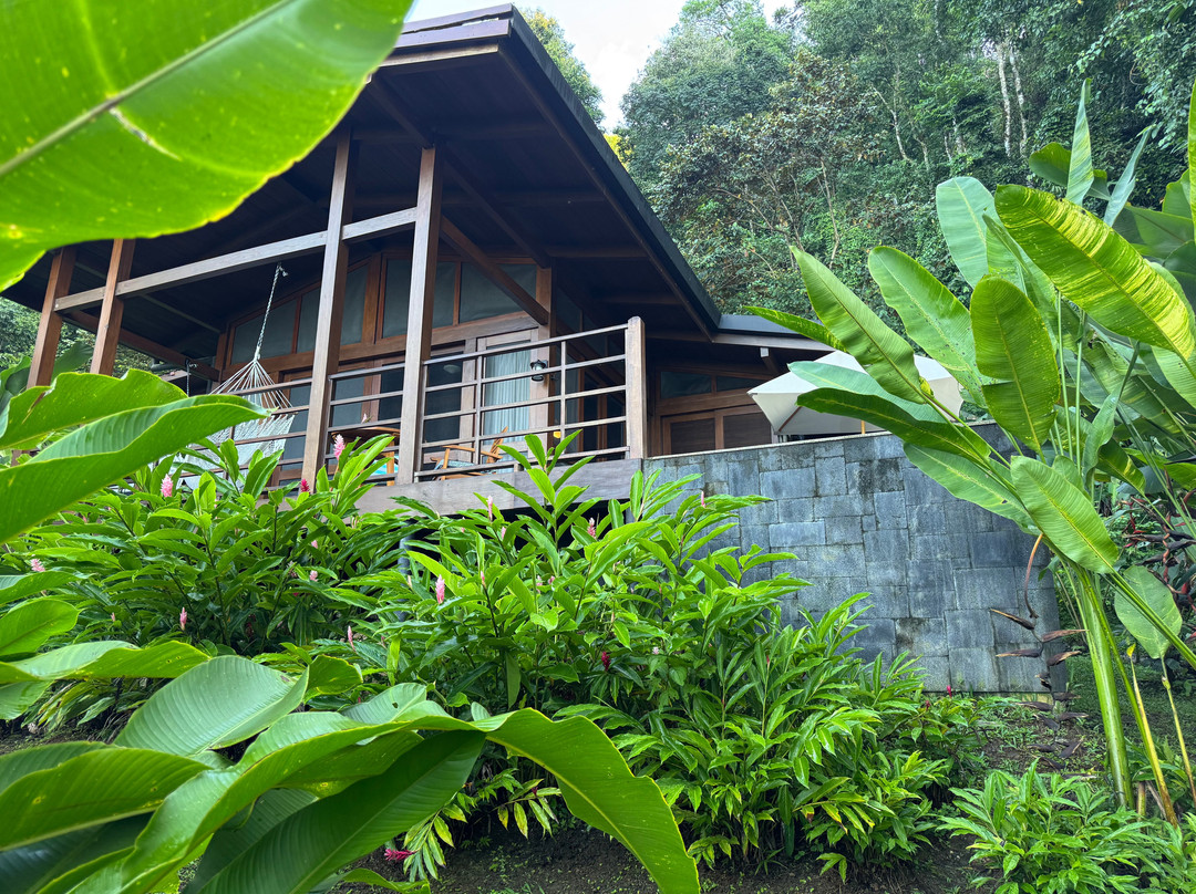 Playa Cativo Lodge主图