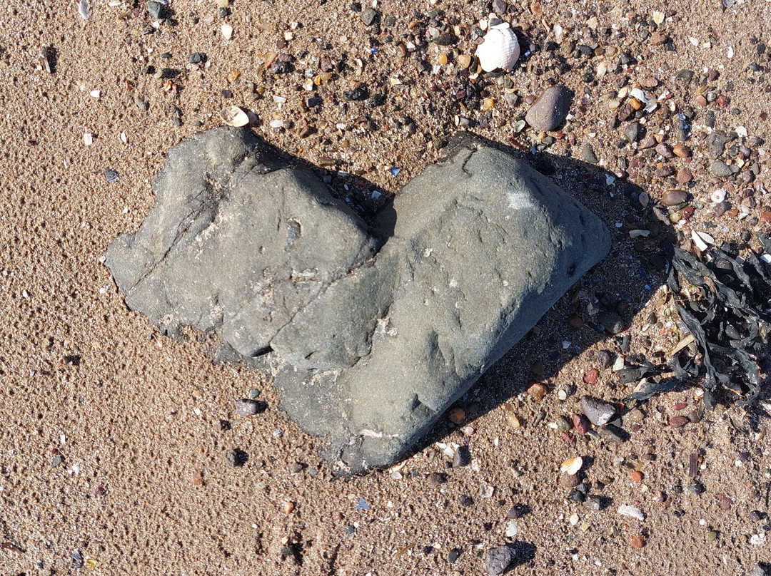 Broughty Ferry Beach-敦提必去景点