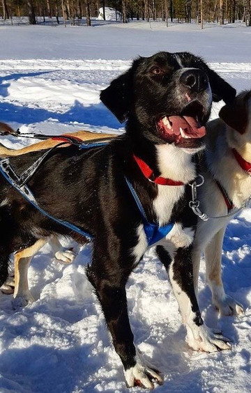 Discover Nordic Adventures-Jamton必去景点