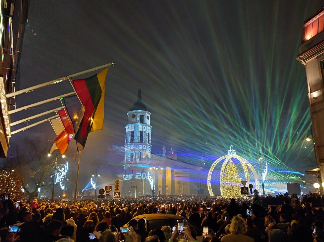 Vilnius Cathedral Square景点图片