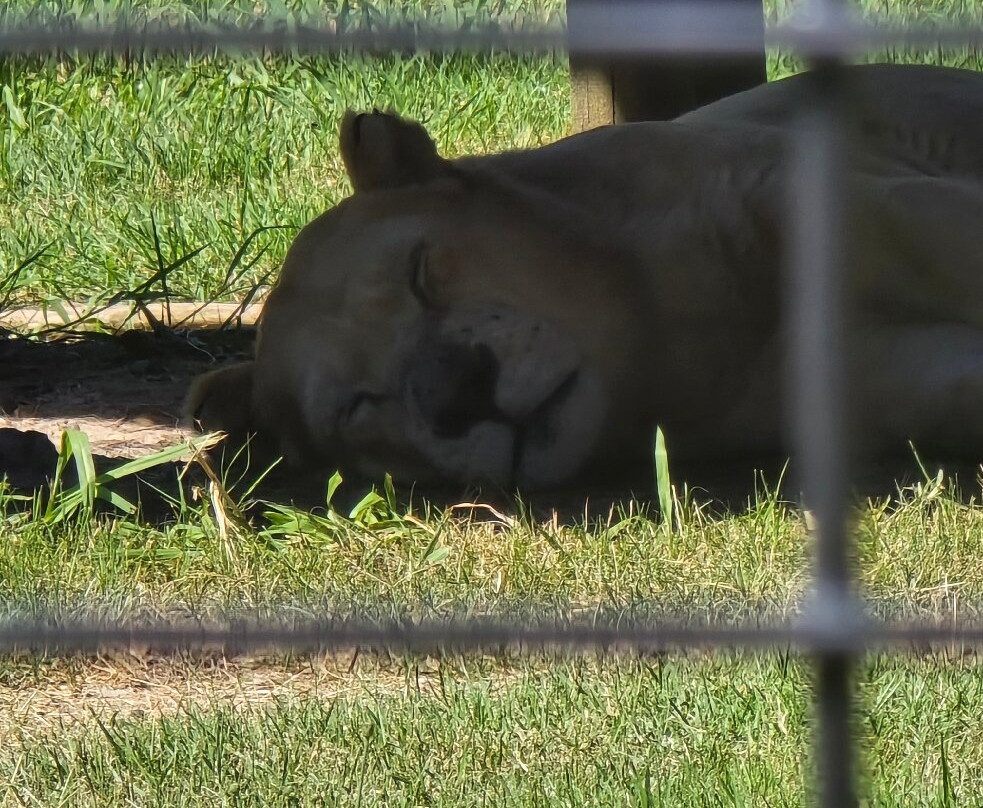 East London Zoo-东伦敦必去景点