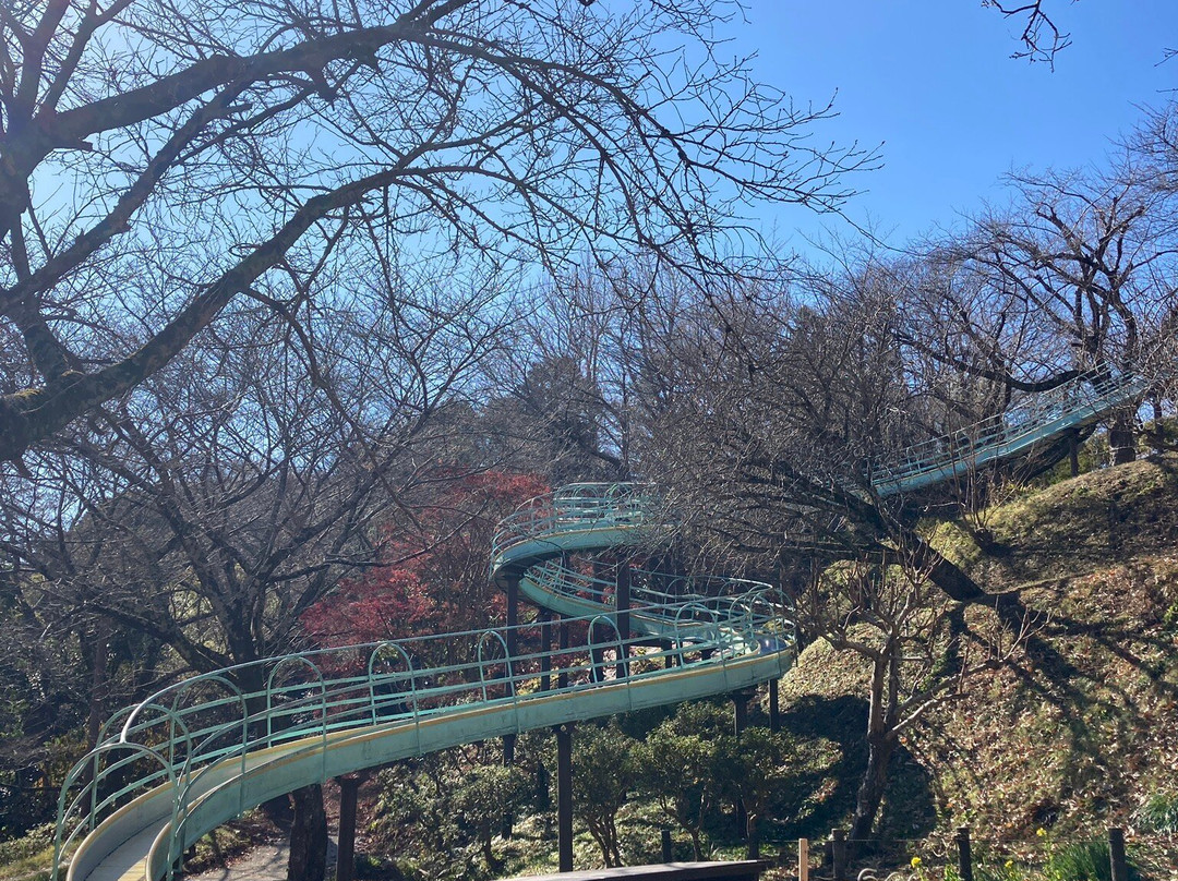 Azumayama Park-二宫町必去景点