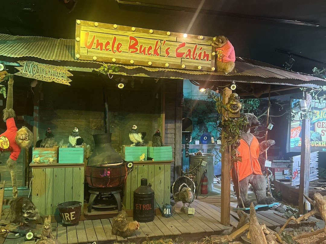 Bass Pro Shops-达尼亚滩必去景点