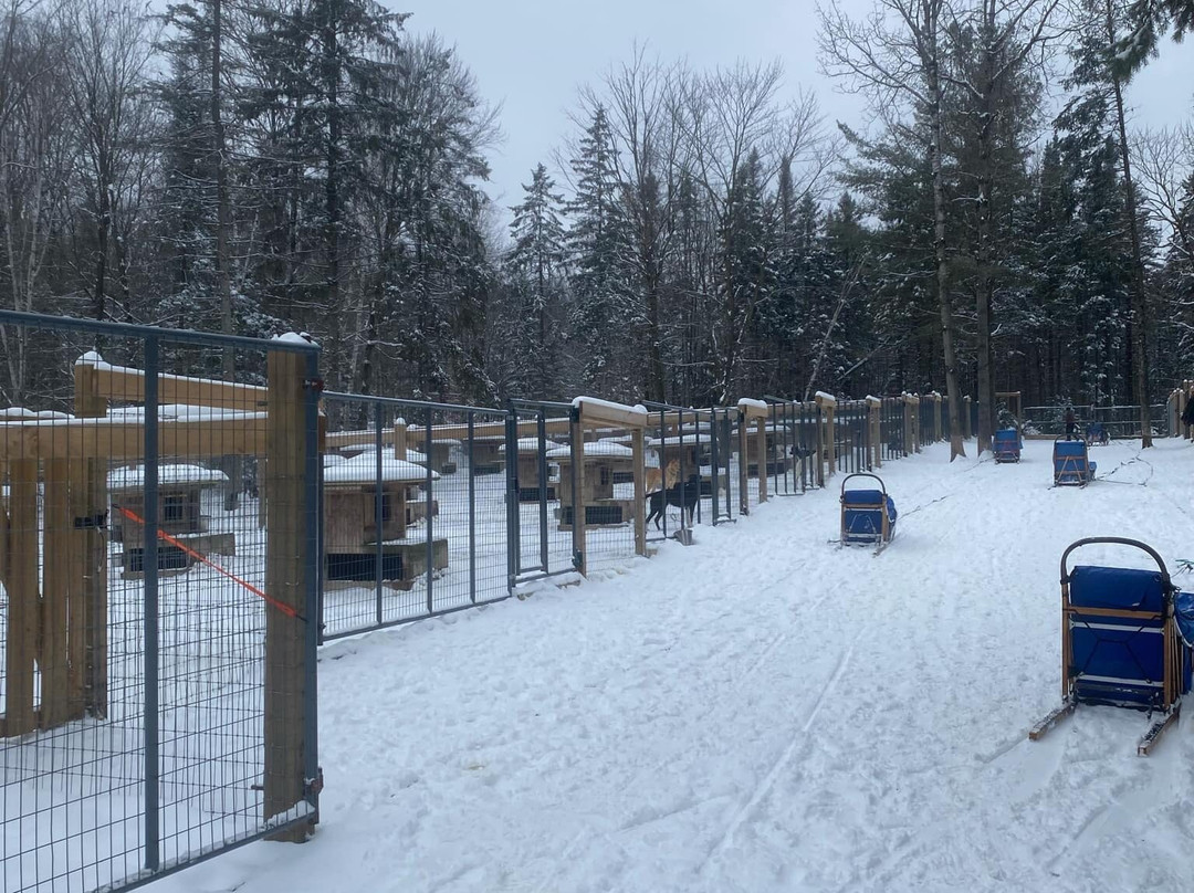 North Ridge Ranch - Dog Sledding景点图片