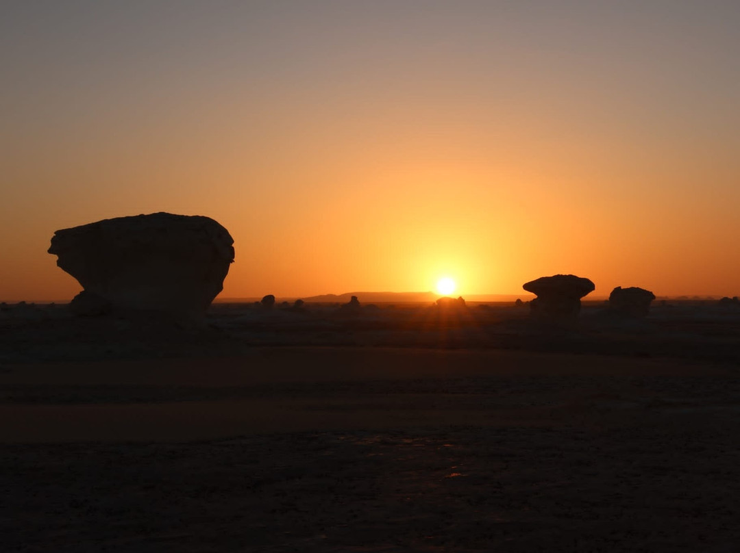 Western Desert Travel-Bahariya Oasis必去景点