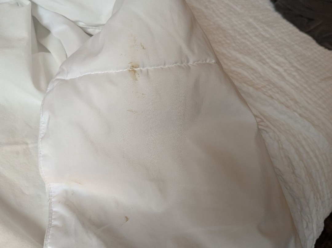 Days Inn by Wyndham Gillette主图