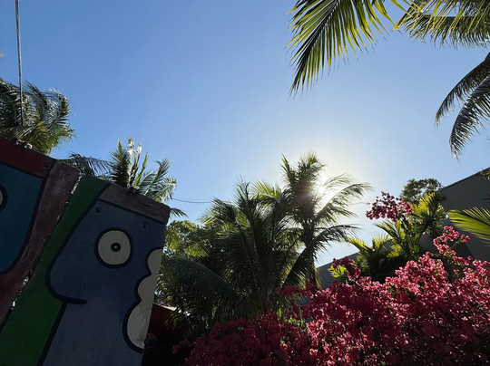 Miami Ironside-迈阿密必去景点