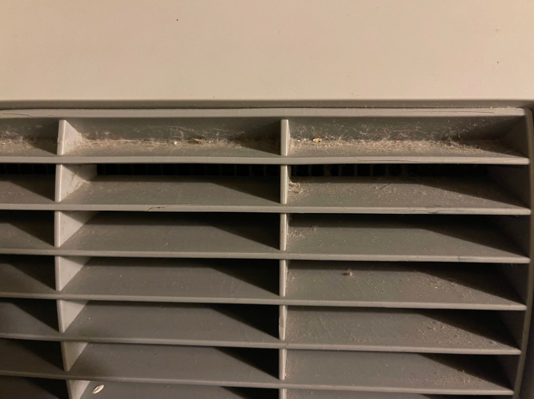 Best Western Plus Shamrock Inn & Suites主图