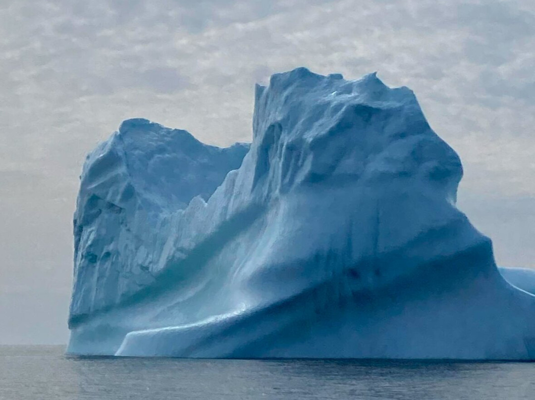 Daily Catch Ocean Tours-St Lunaire-Griquet必去景点