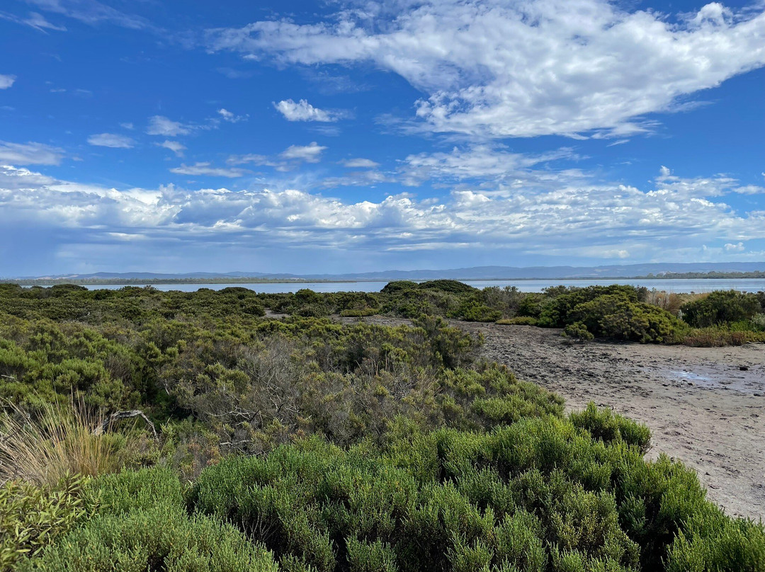 Old Port Walking Trail-Port Albert必去景点