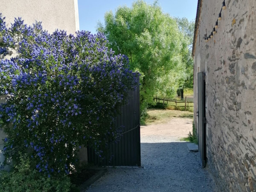 La Petite Boire主图