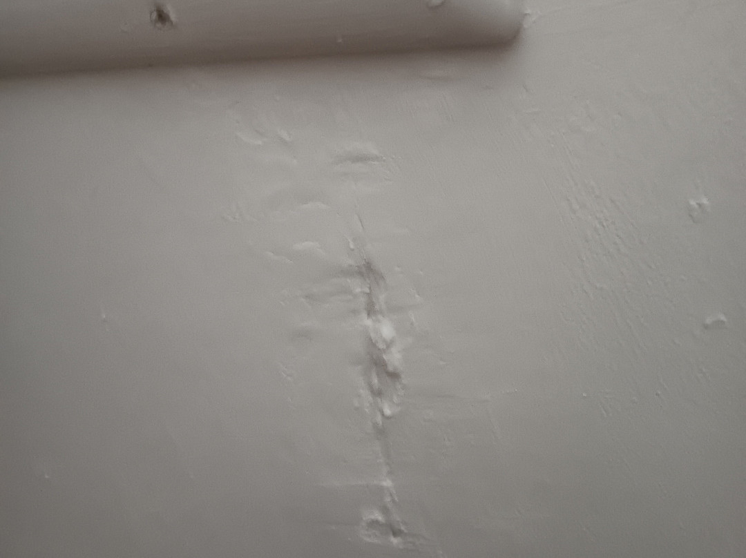 Viva Tangerine By Wyndham主图