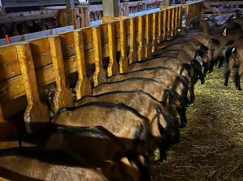 Potcoava Mountain Hideaway主图