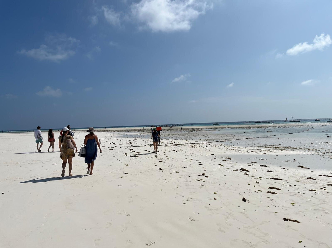 Zanziocean Dive Centre-Pwani Mchangani必去景点