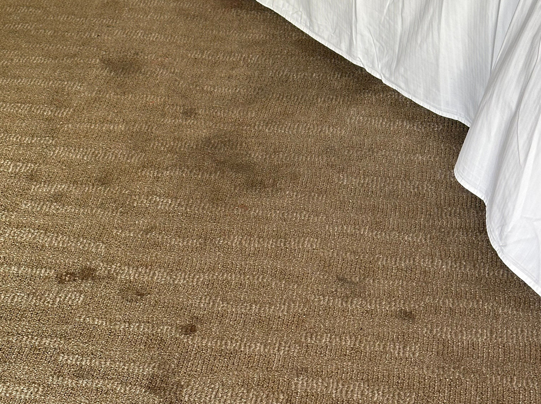 Enjoy Antofagasta主图