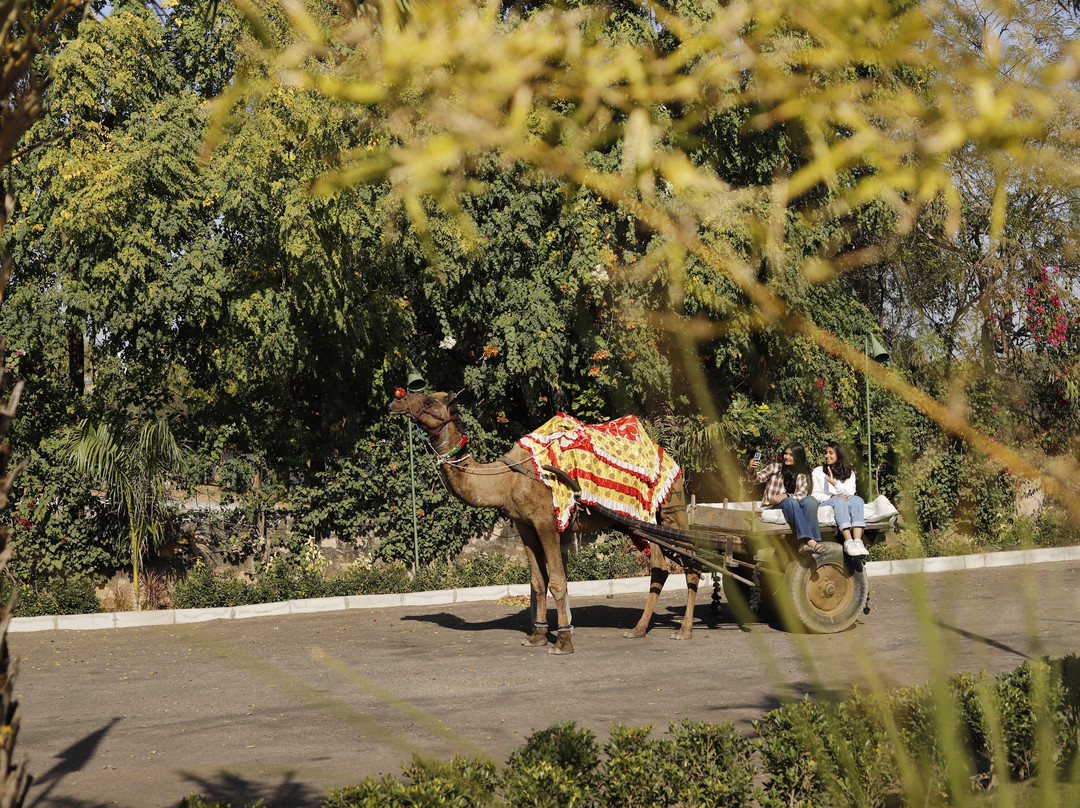 The Nest Luxury Resort主图