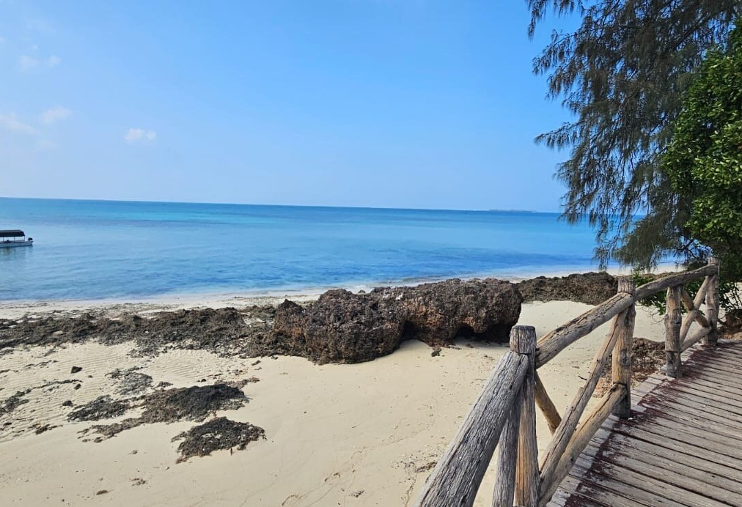 Ali Super Guide Zanzibar-Kilimajuu必去景点