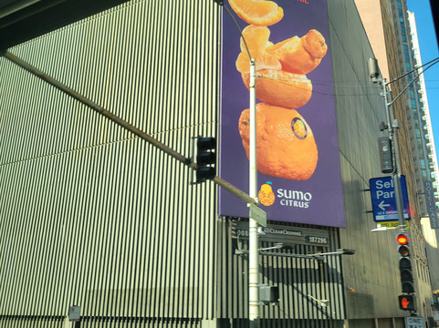 独特之旅-芝加哥必去景点