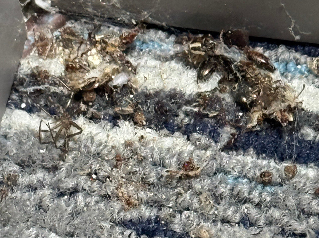 Holiday Inn Express & Suites Birmingham South - Pelham By IHG主图