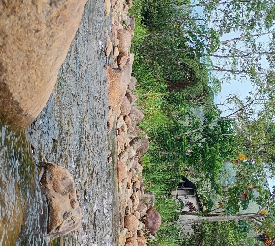 Parque Nacional Tingo Maria-Huanuco必去景点