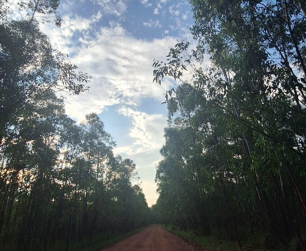 香格里拉乡间酒店主图