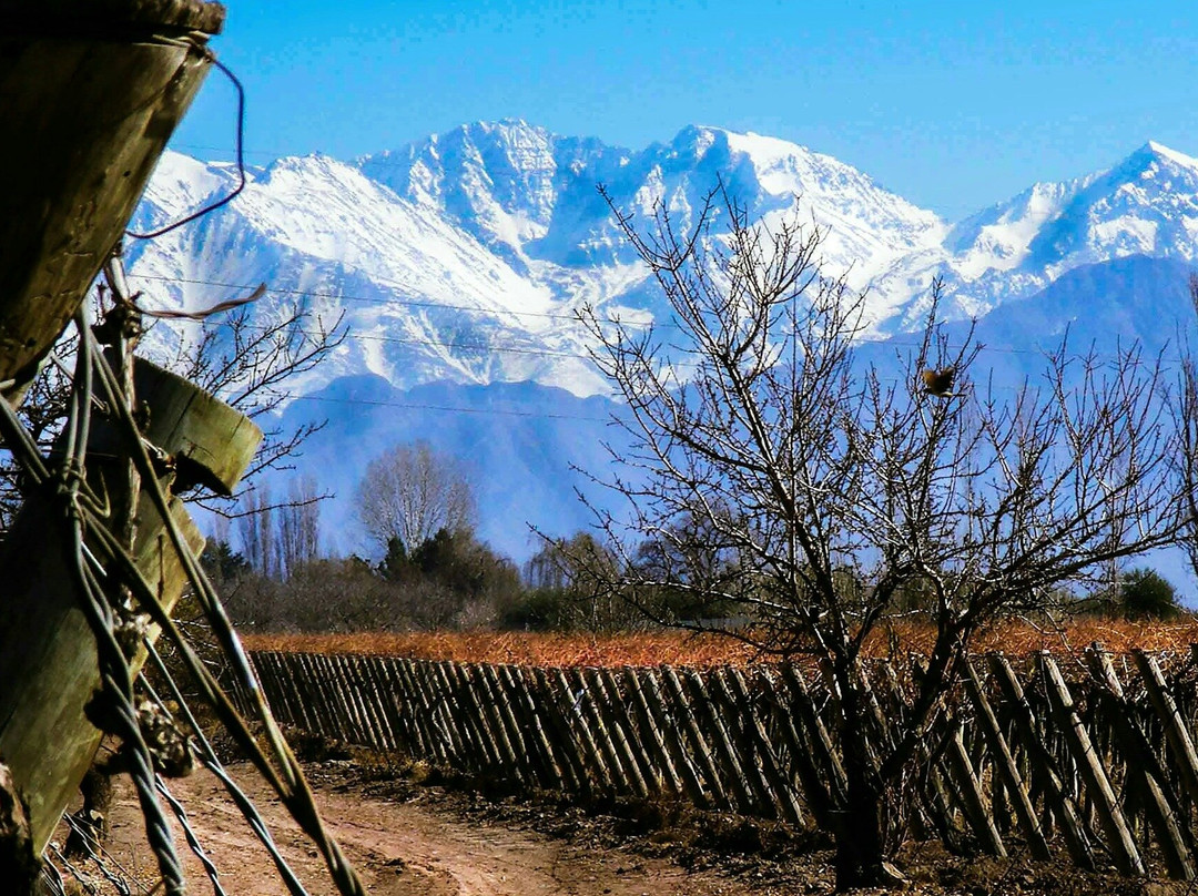 Ni Lo Pienses Tour  Mendoza