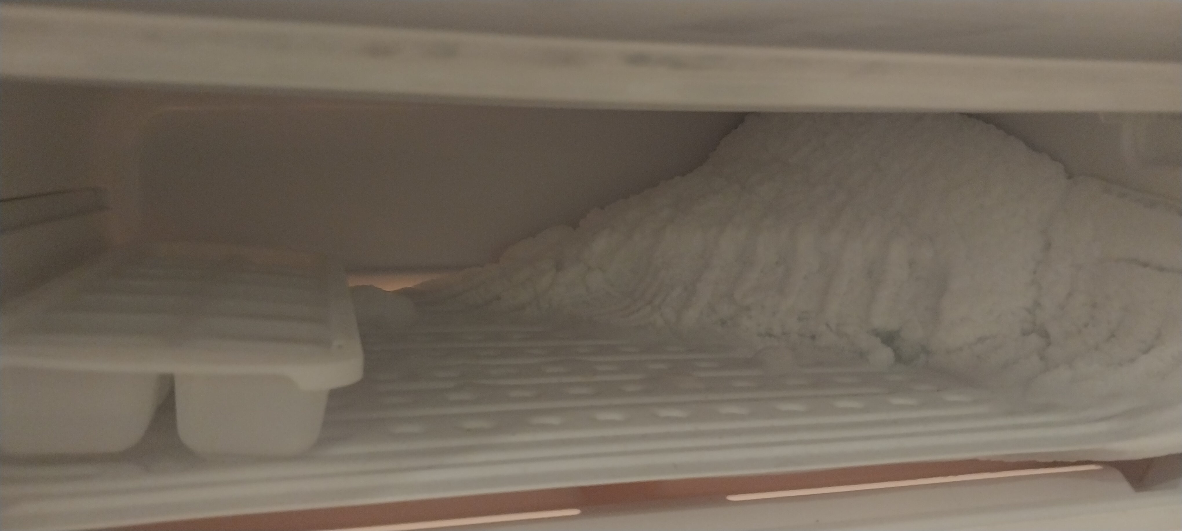 堪培拉坎贝尔诗铂酒店-客卧