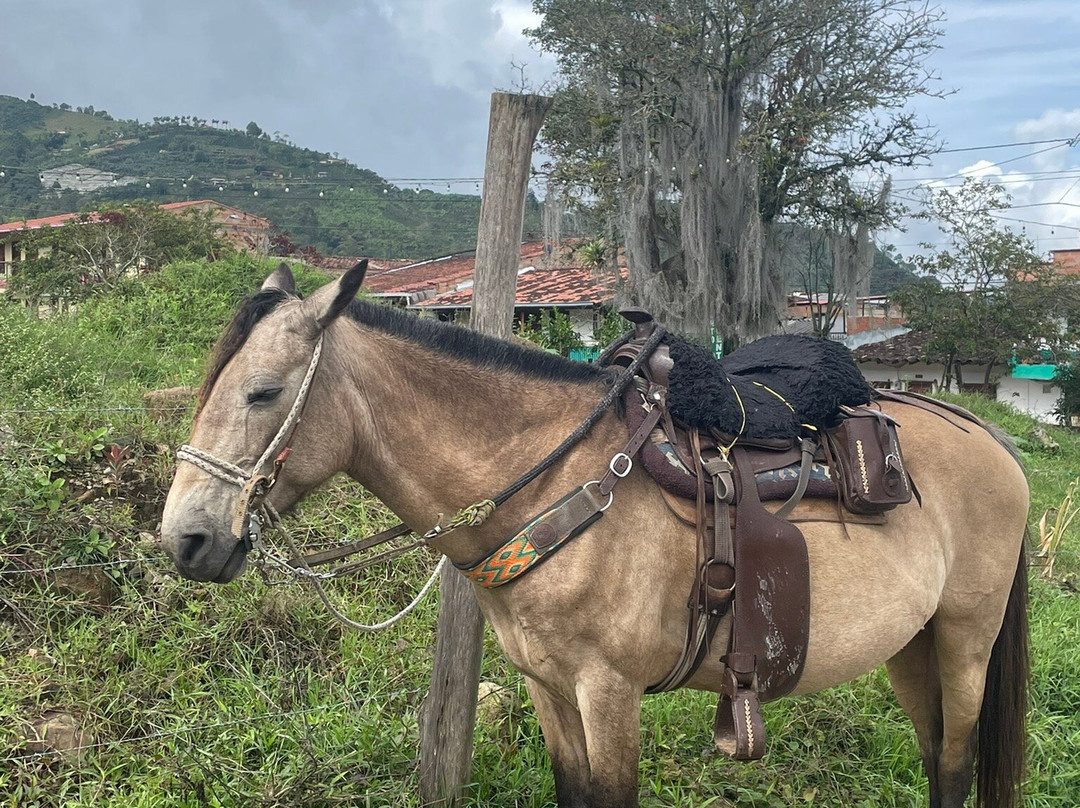 Hotel Plantación主图