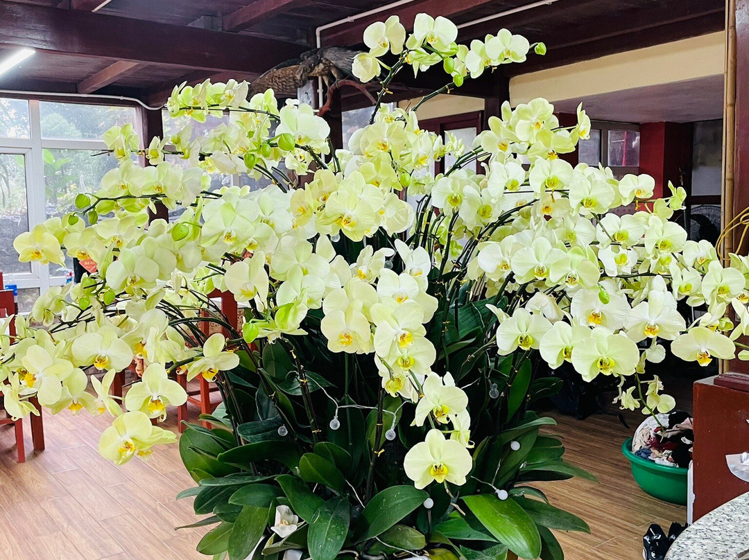 Trang An Lighthouse Homestay