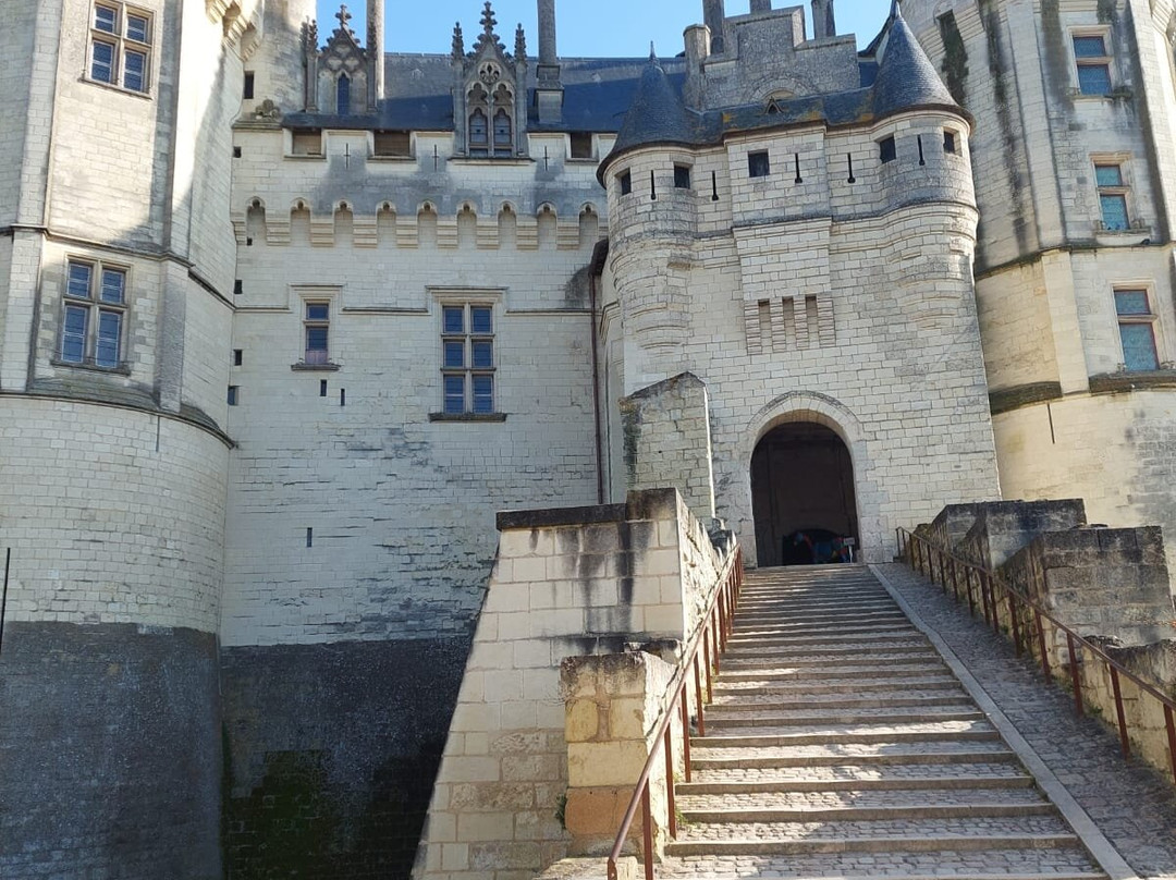 Château-musée De Saumur景点图片