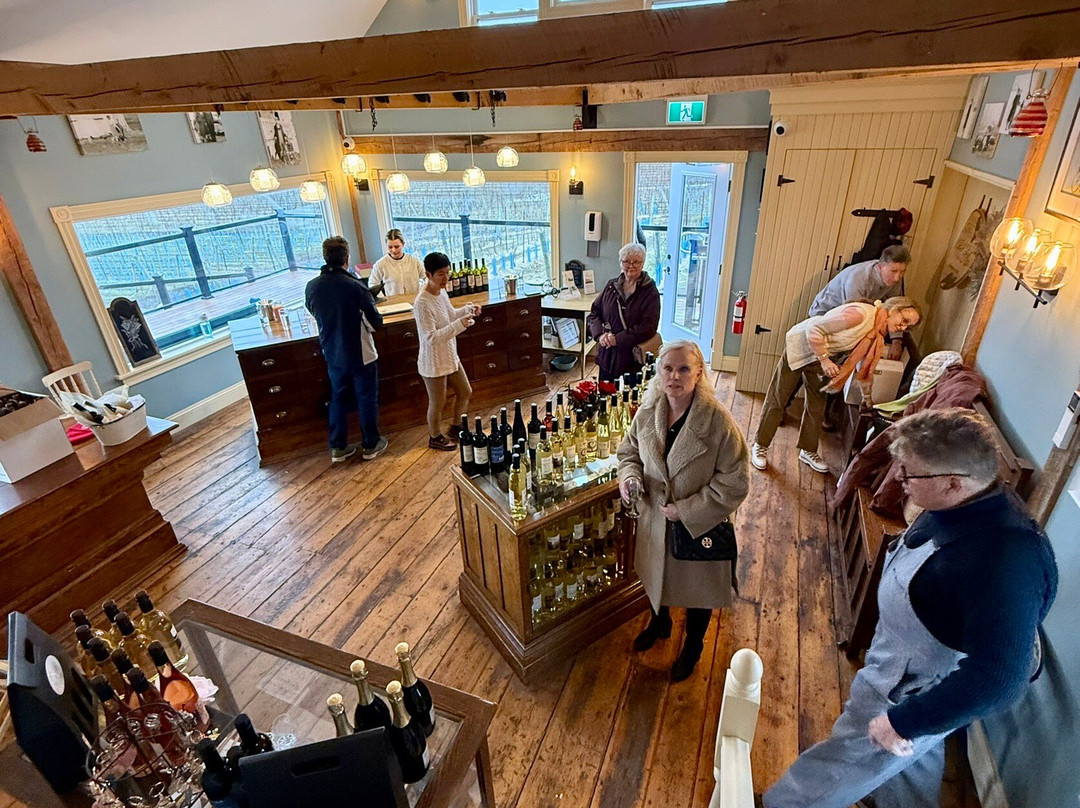 1365 Church Street Vineyard An Winery-Port Williams必去景点