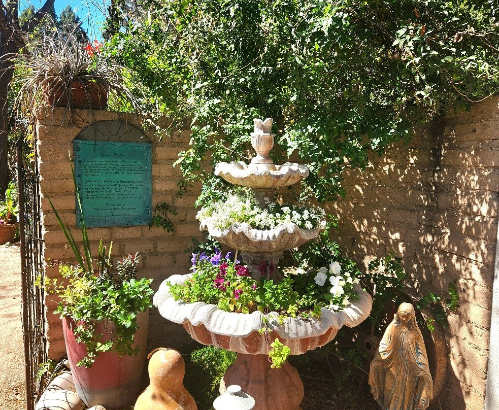 Tucson Botanical Gardens-图森必去景点