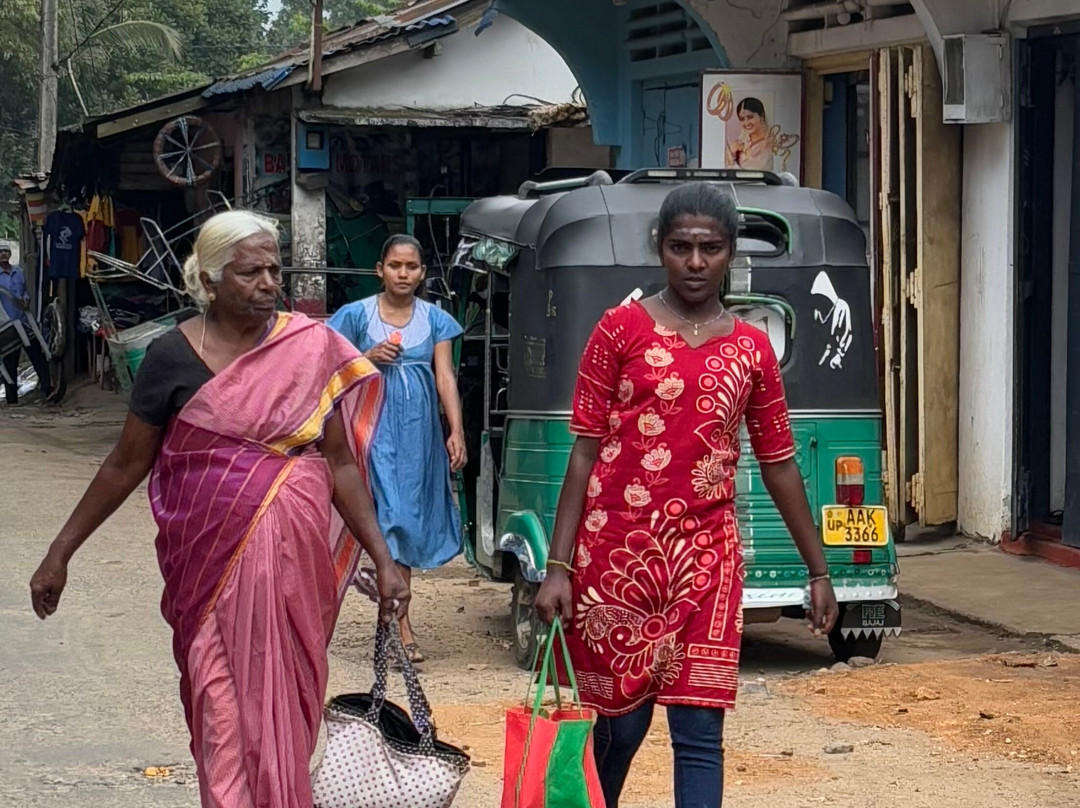 Excellent Lanka With Madu-卡图纳耶克必去景点