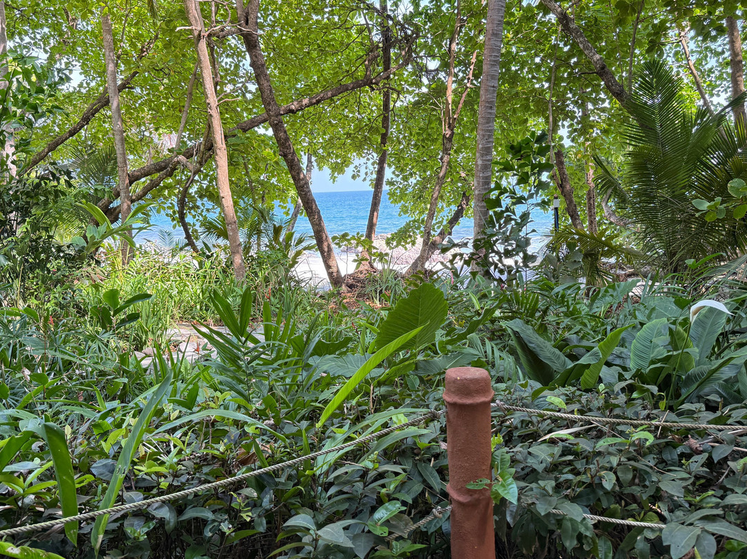 Ylang Ylang Beach Resort主图