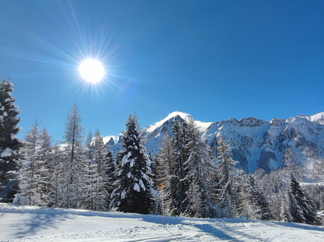 Alpe Lusia Ski Area景点图片