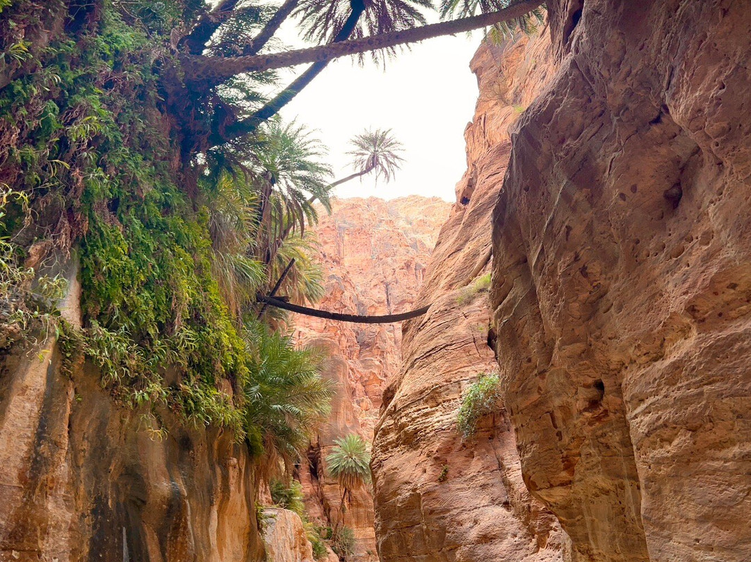 Wadi Ghuweir-null必去景点