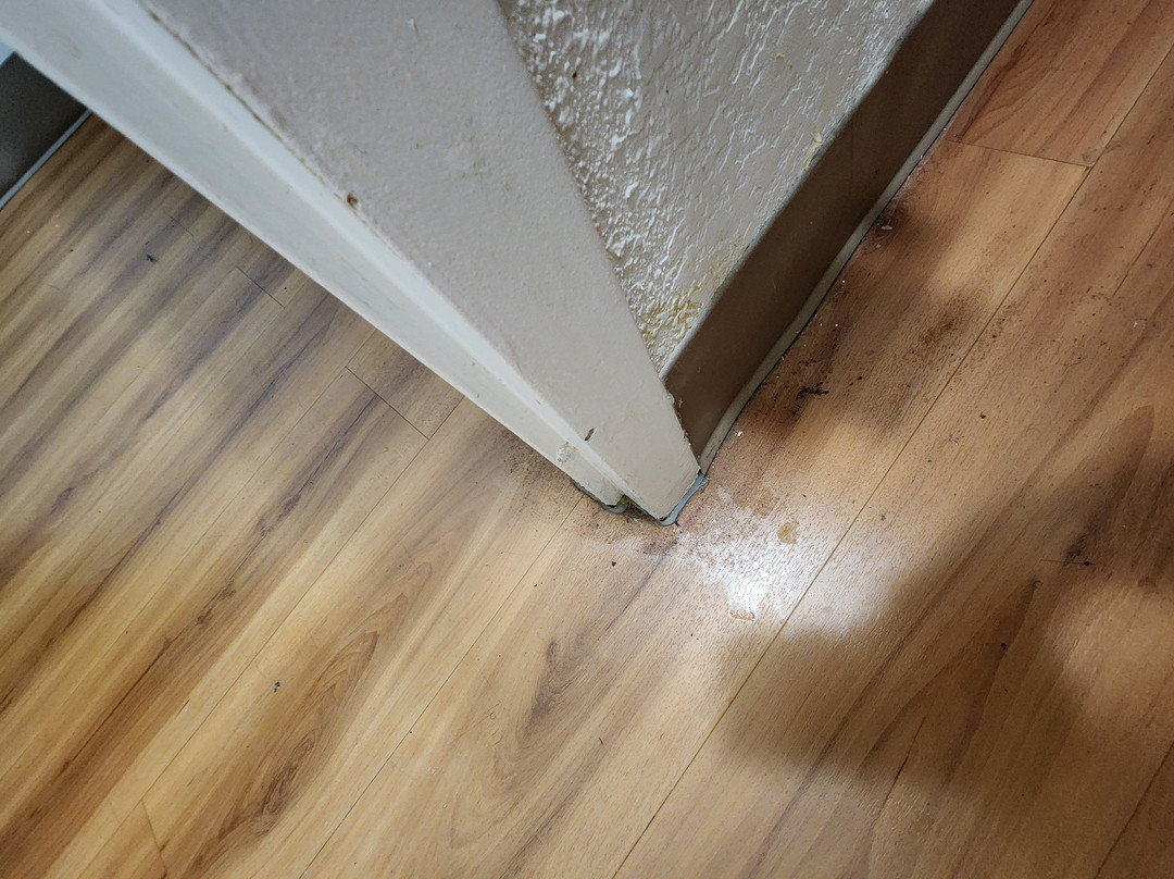 Motel 6 Youngstown主图