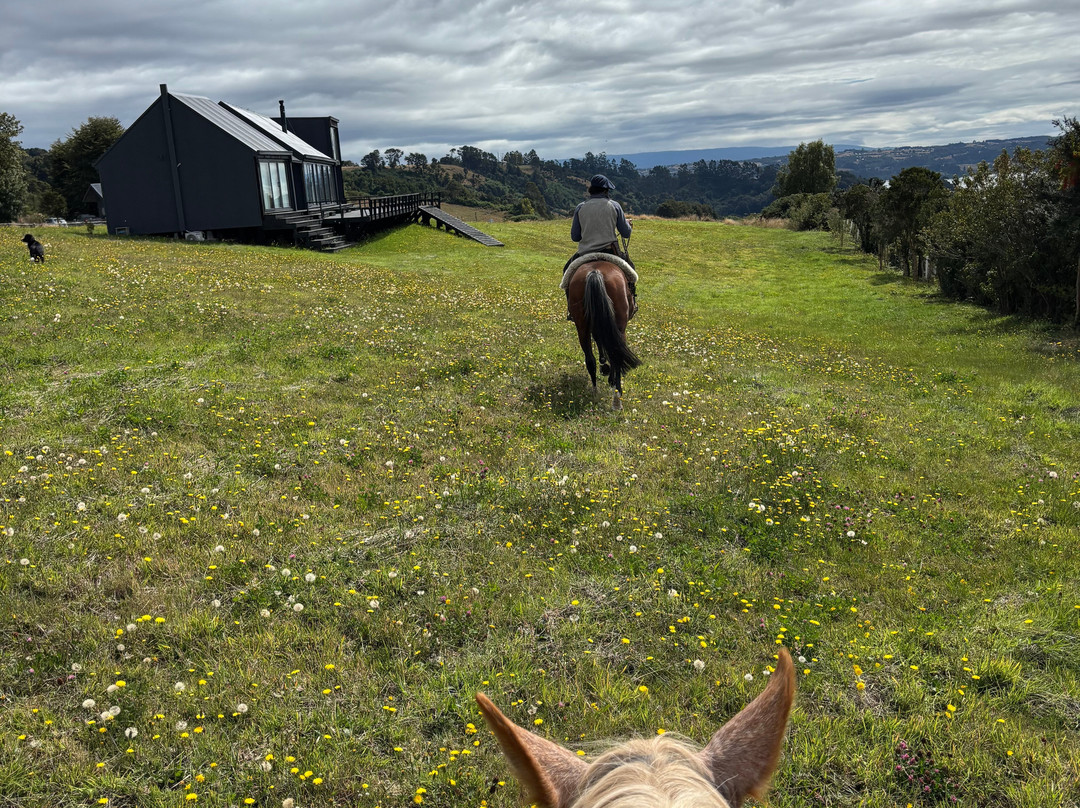 Rancho Pullao-Castro必去景点
